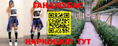 МДПВ Будённовск